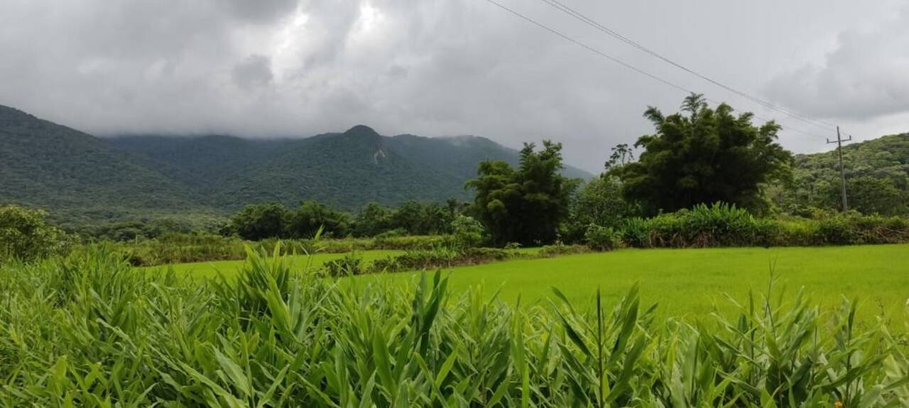 Sítio Tagaçaba de Baixo, Guaraqueçaba - PR