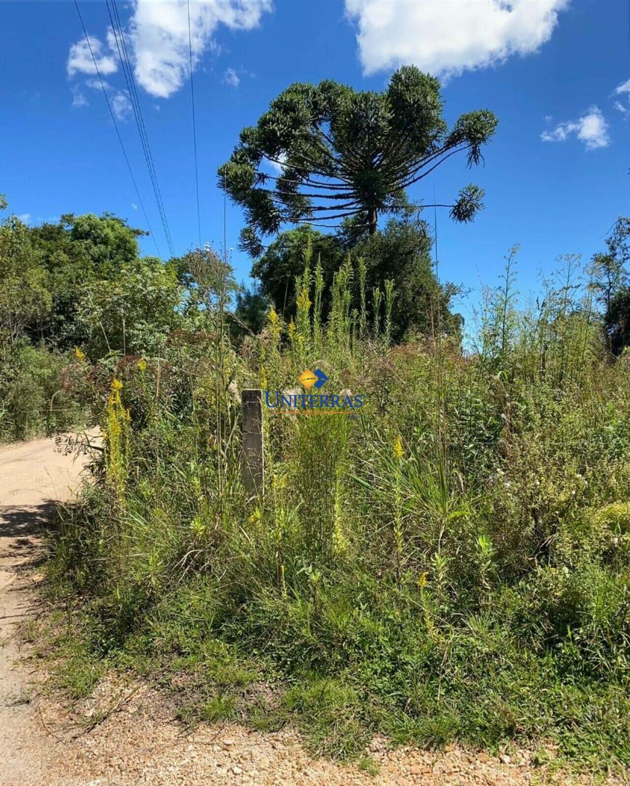 Chácara Tabatinga, Tijucas do Sul - PR