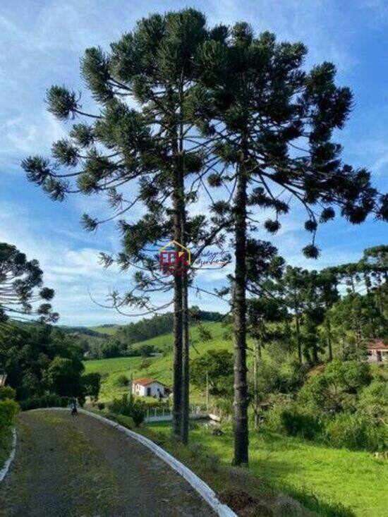 Sítio Zona Rural, Cunha - SP