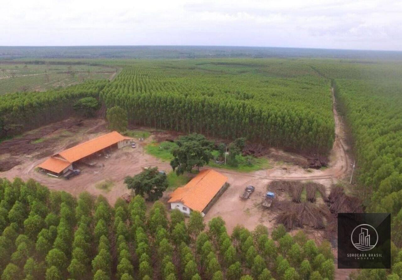 Fazenda Centro, Ribas do Rio Pardo - MS