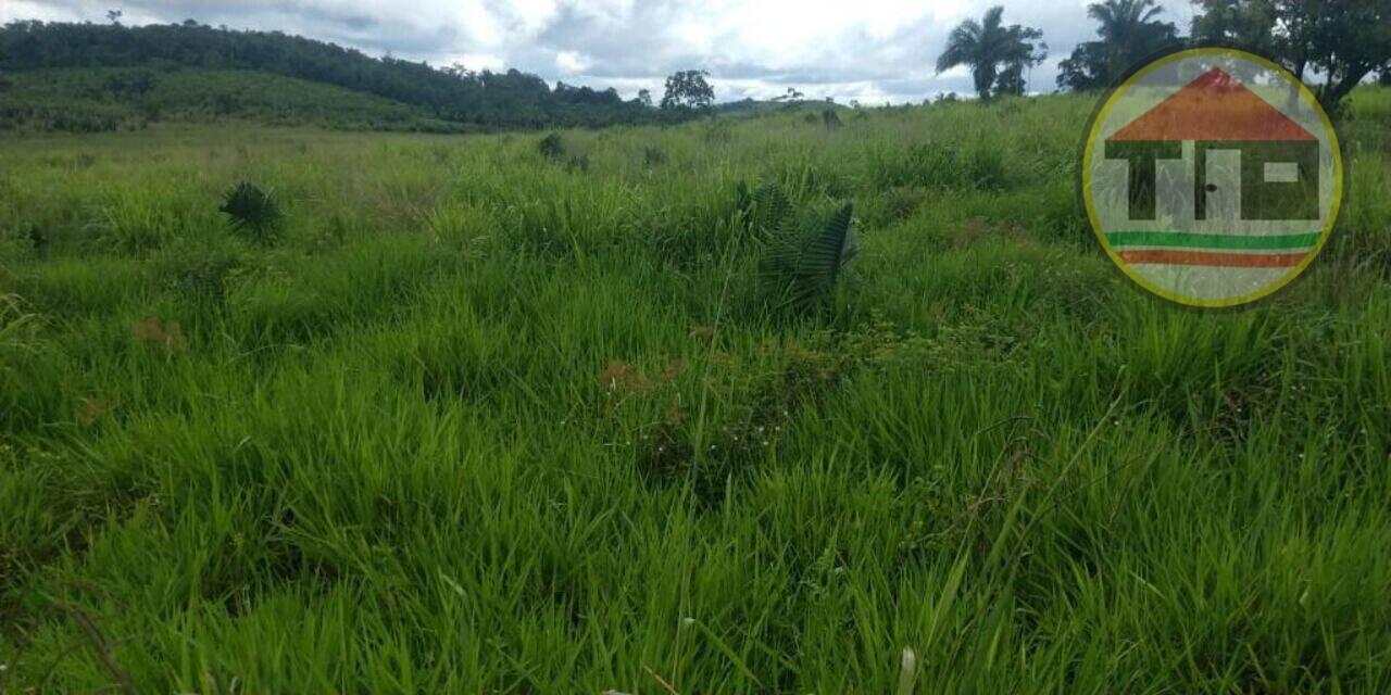 Fazenda Zona Rural, Novo Repartimento - PA