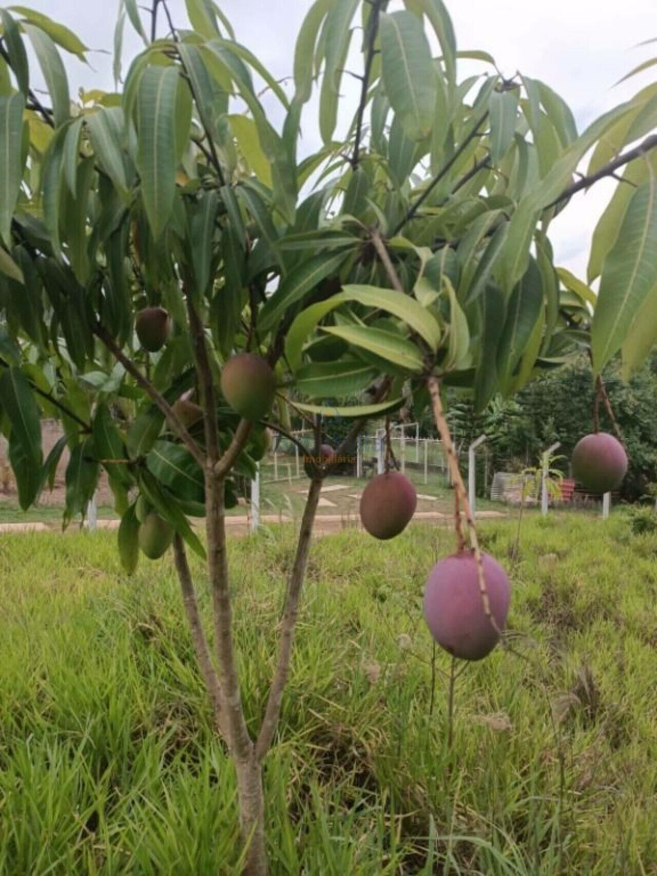 Chácara Bairro dos Pires, Limeira - SP