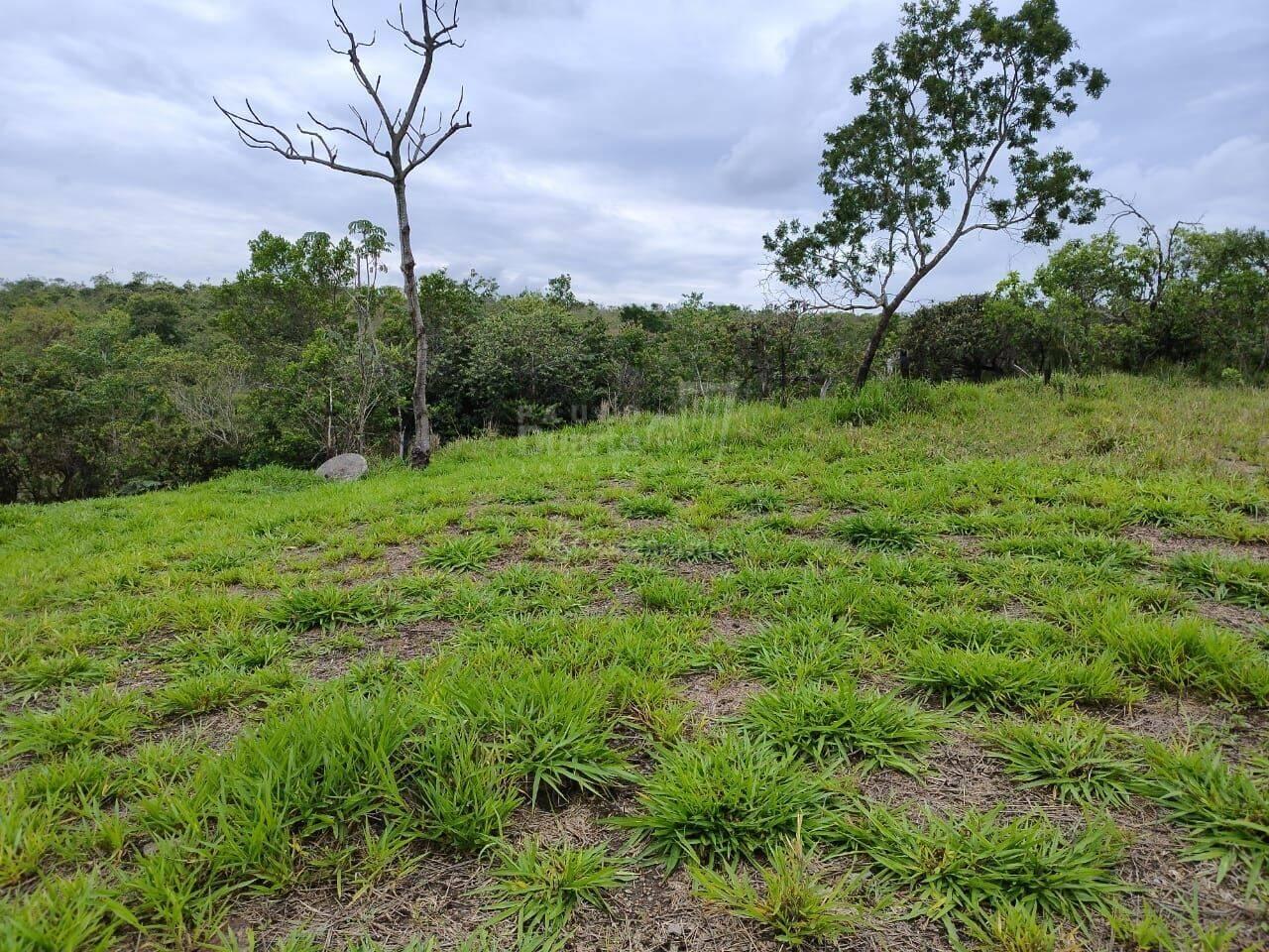 Chácara Gama Sul, Brasília - DF