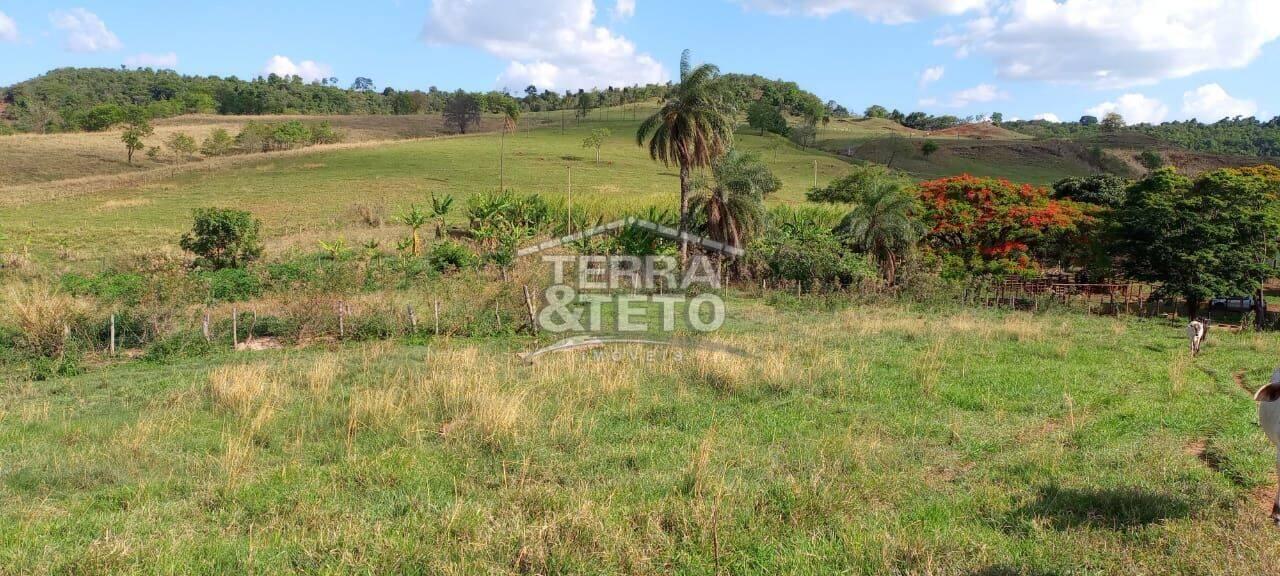 Fazenda Bairro Rural, Patos de Minas - MG