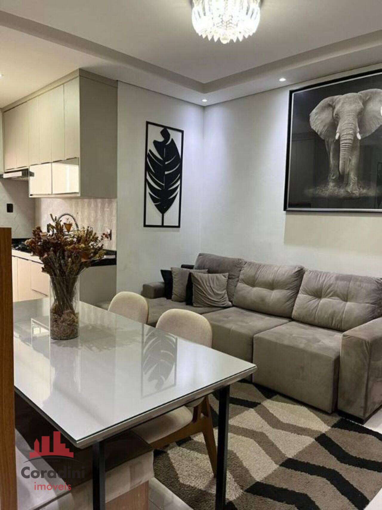 Apartamento Parque Nova Carioba, Americana - SP