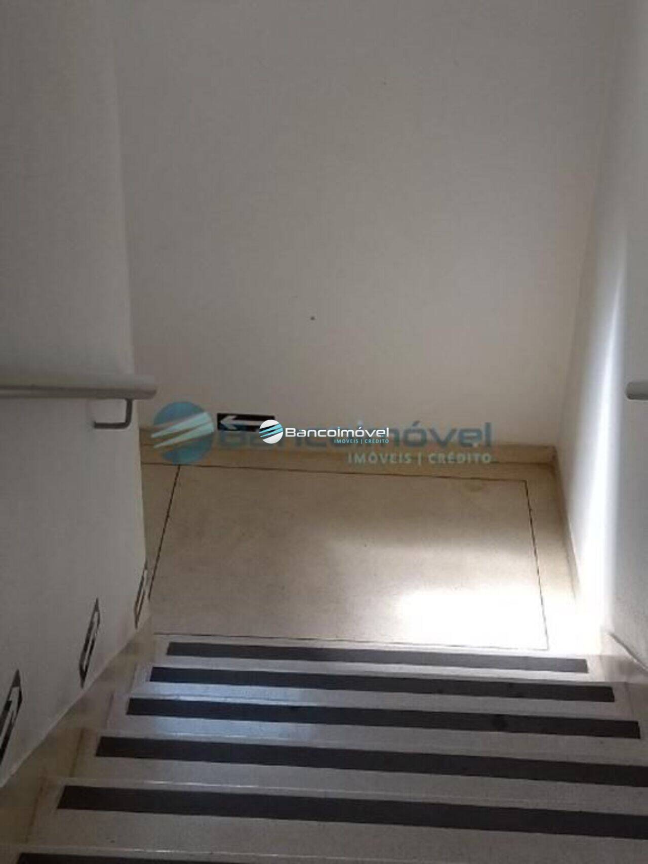 Apartamento Jardim Paulicéia, Campinas - SP