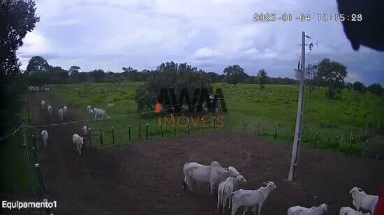 Fazenda Zona Rural, Cocalinho - MT