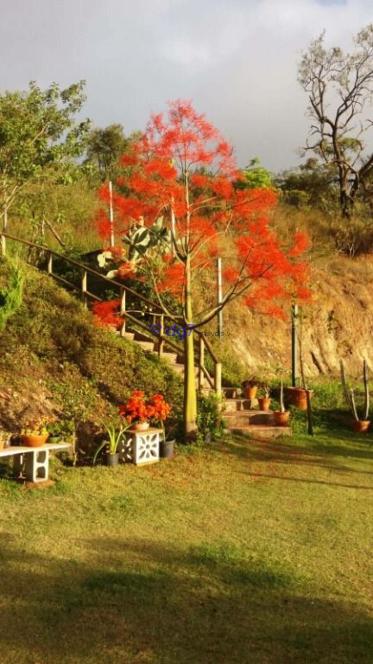 Casa Cotia, Cotia - SP