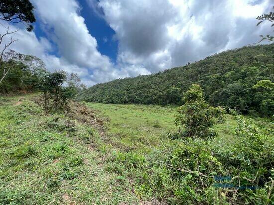 Campo do Coelho - Nova Friburgo - RJ, Nova Friburgo - RJ