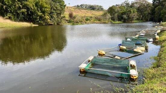 Zona Rural - Jacutinga - MG, Jacutinga - MG