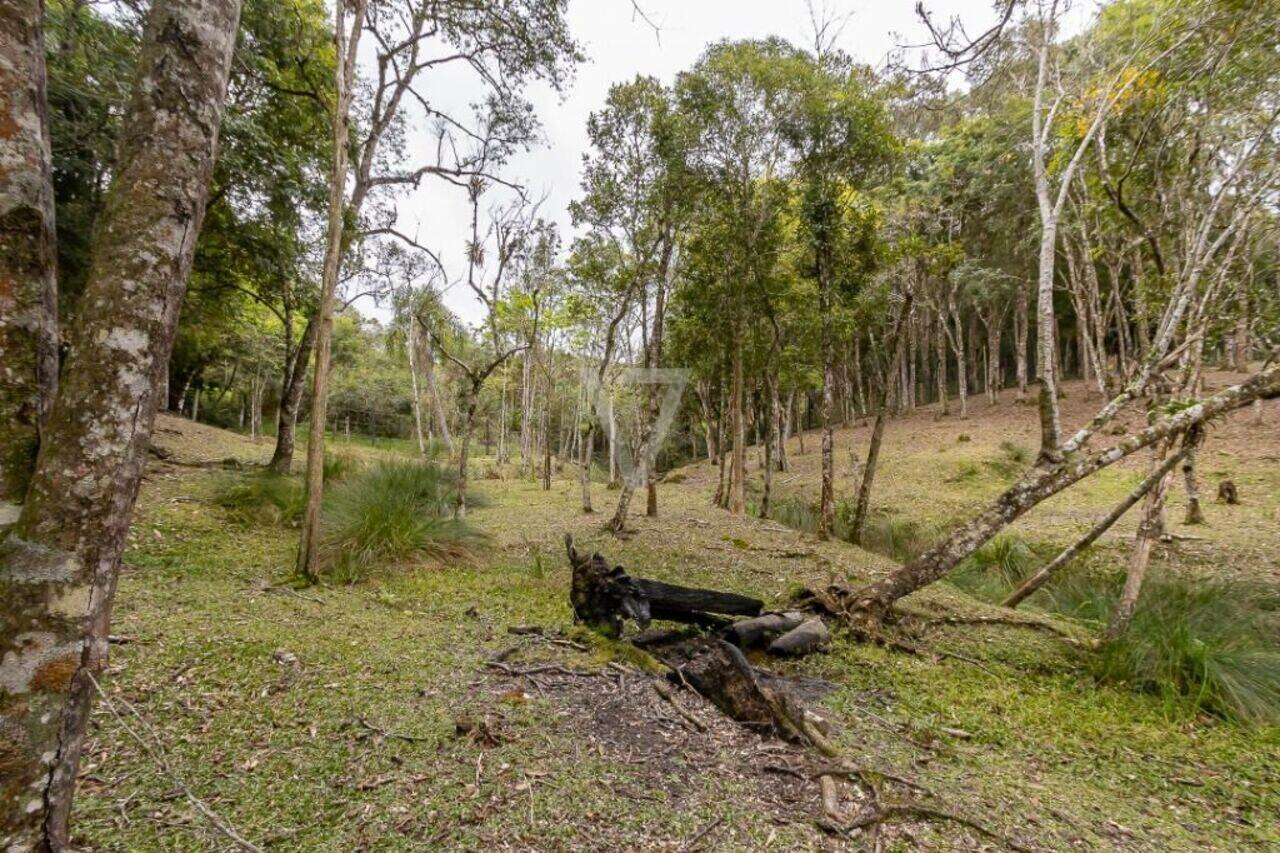 Chácara Mandassaia, Campina Grande do Sul - PR