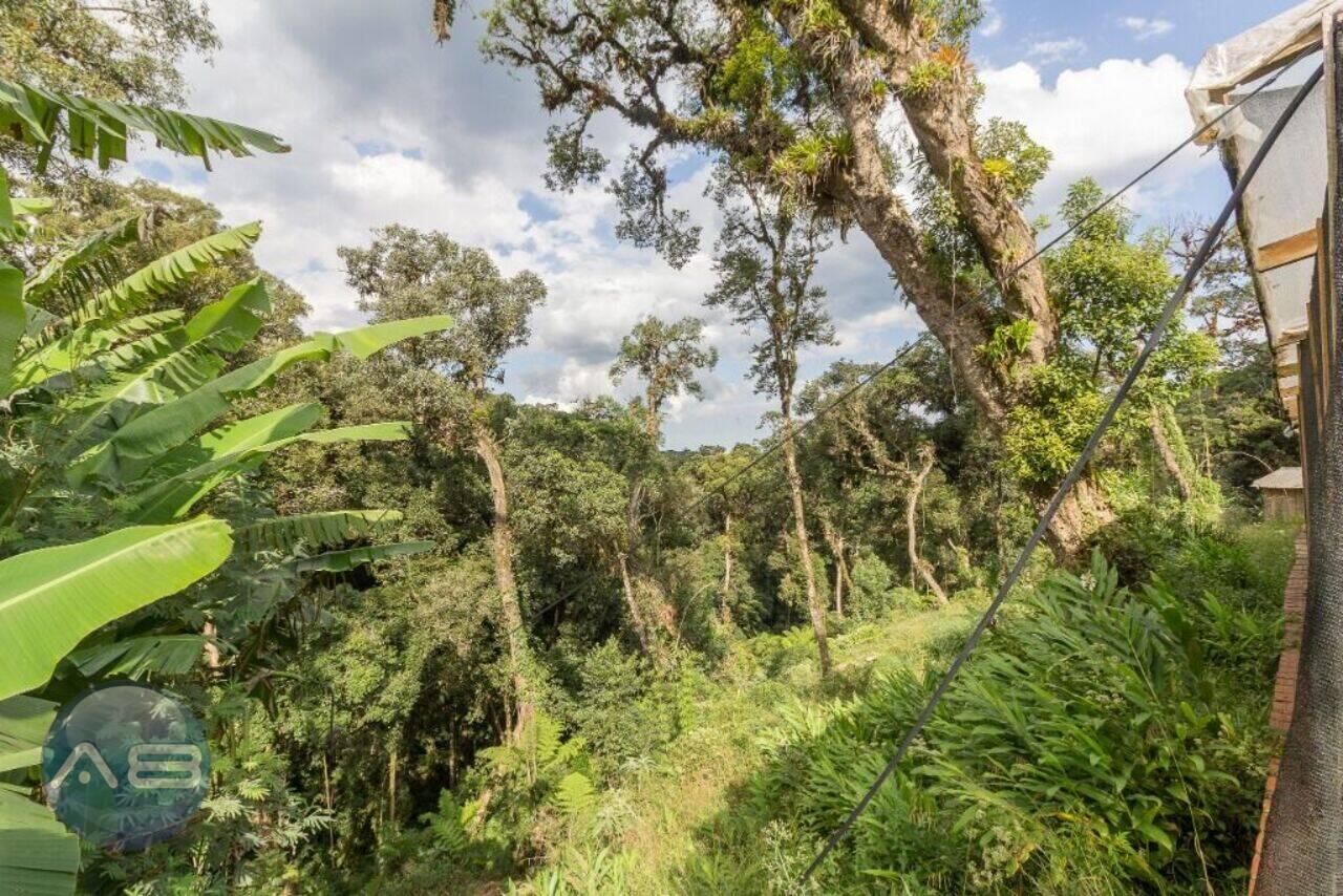 Terreno Área Rural de São José dos Pinhais, São José dos Pinhais - PR