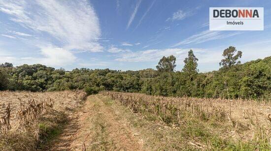 Colônia Balbino Cunha - Campo Largo - PR, Campo Largo - PR