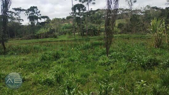 Vila Conceição - Campo Largo - PR, Campo Largo - PR