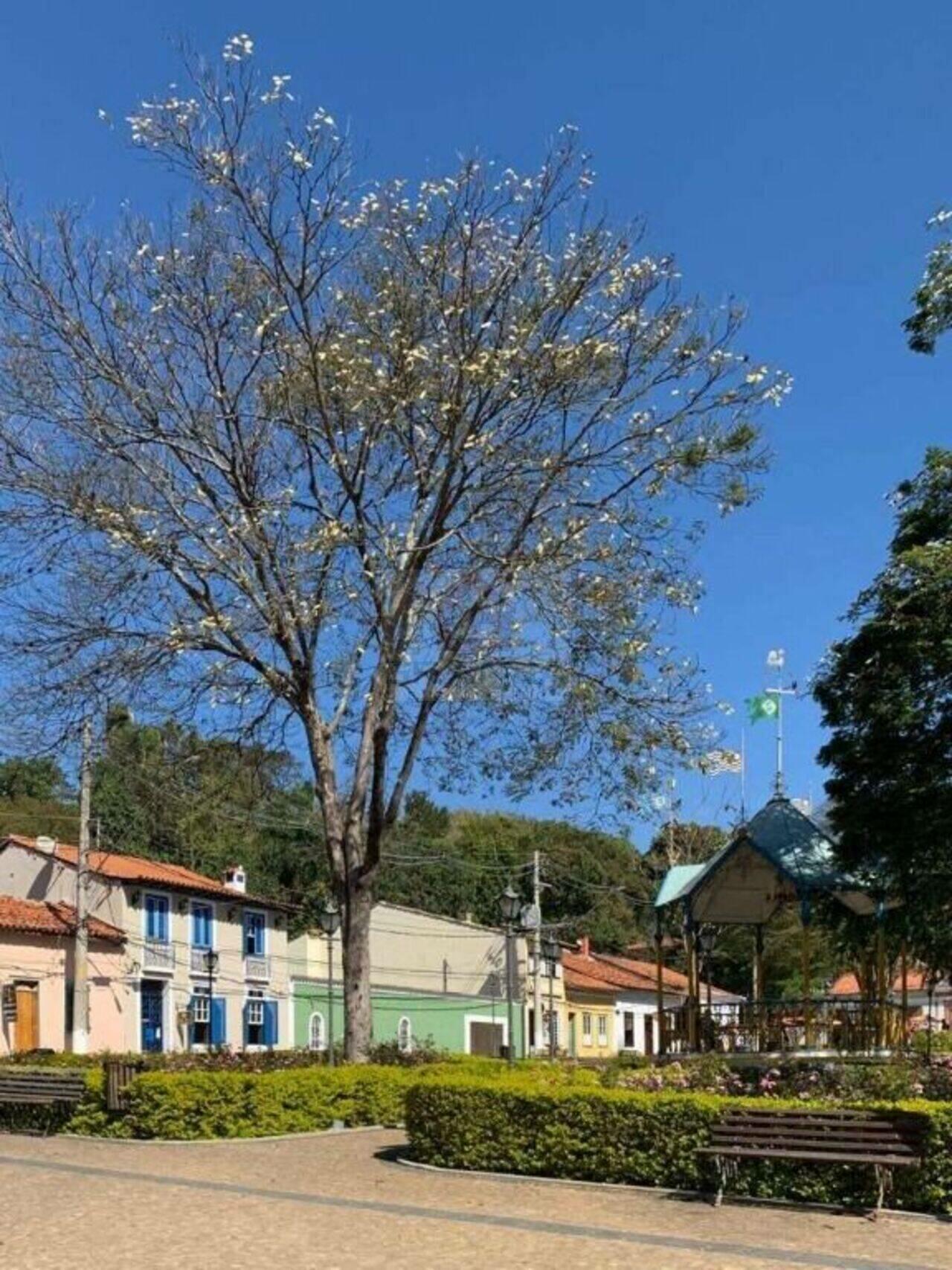 Prédio Centro, Santana de Parnaíba - SP