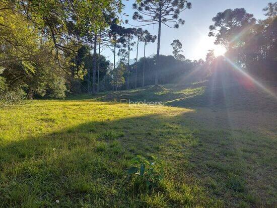 Rondinha - Campo Largo - PR, Campo Largo - PR