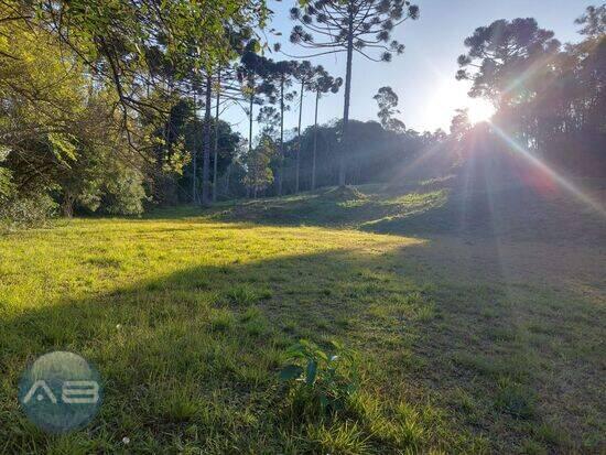 Rondinha - Campo Largo - PR, Campo Largo - PR