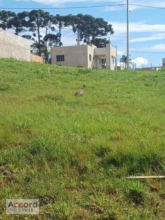 Rincão - Colombo - PR, Colombo - PR