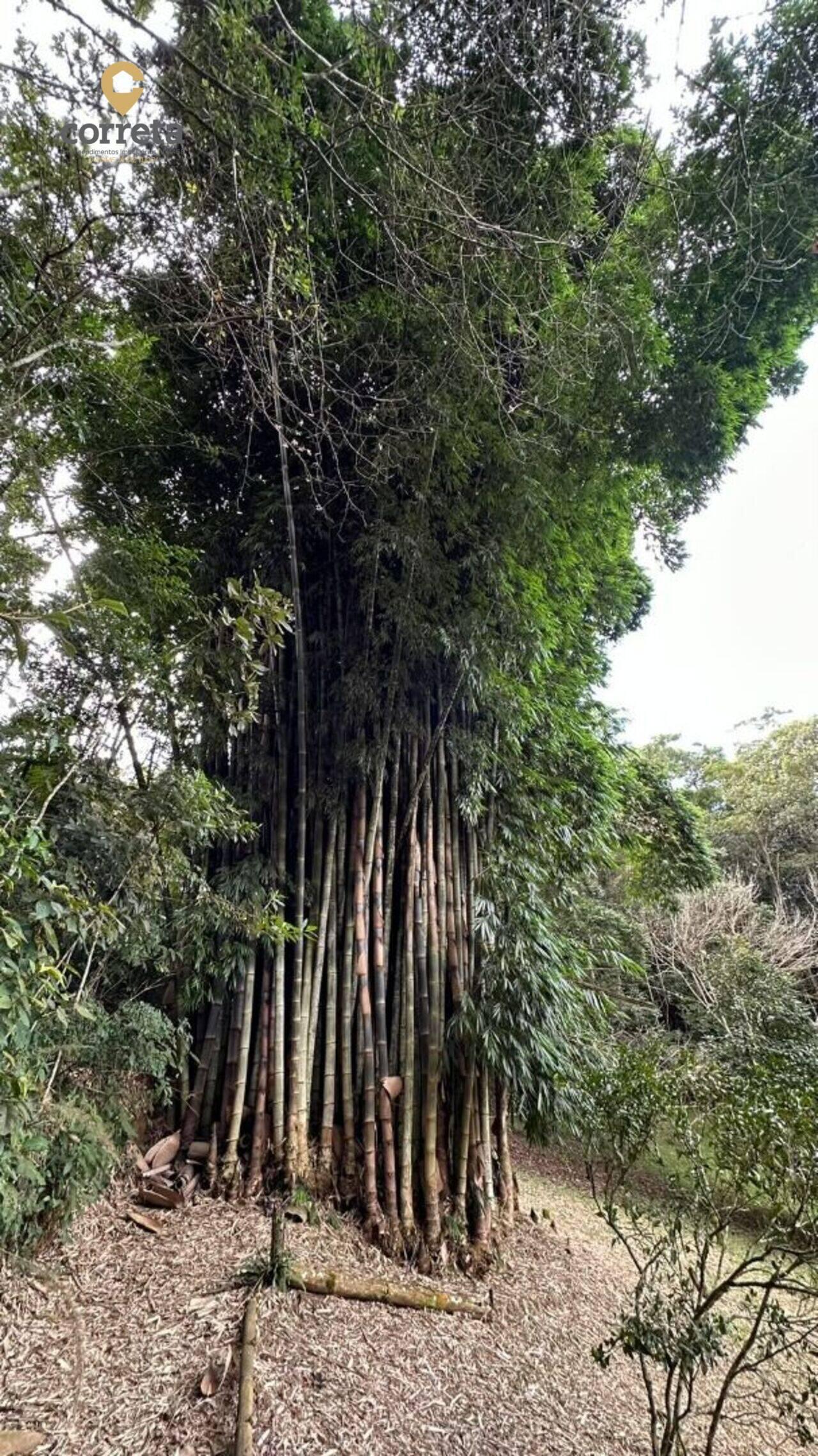 Sítio Sans Souci, Nova Friburgo - RJ