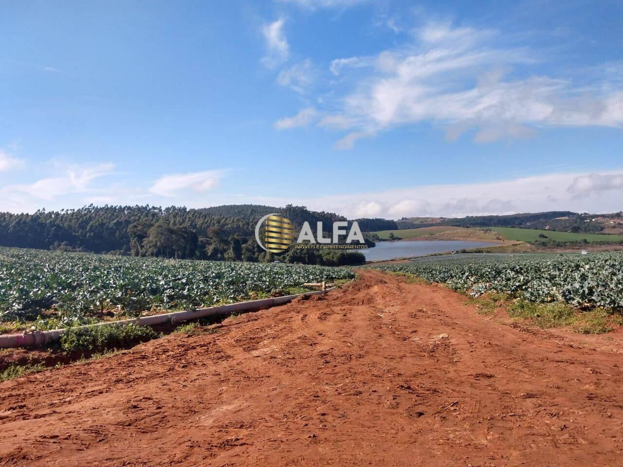 Fazenda Zona Rural, Senador Amaral - MG