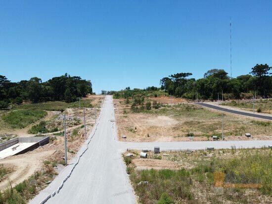 Nossa Senhora da Saúde - Caxias do Sul - RS, Caxias do Sul - RS