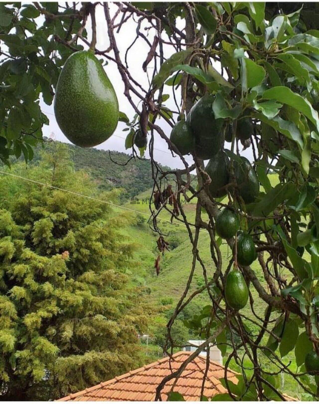 Sítio Serra dos Toledos, Itajubá - MG