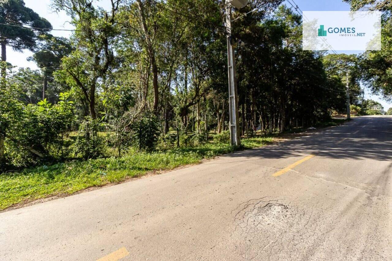 Terreno Borda Do Campo, São José dos Pinhais - PR