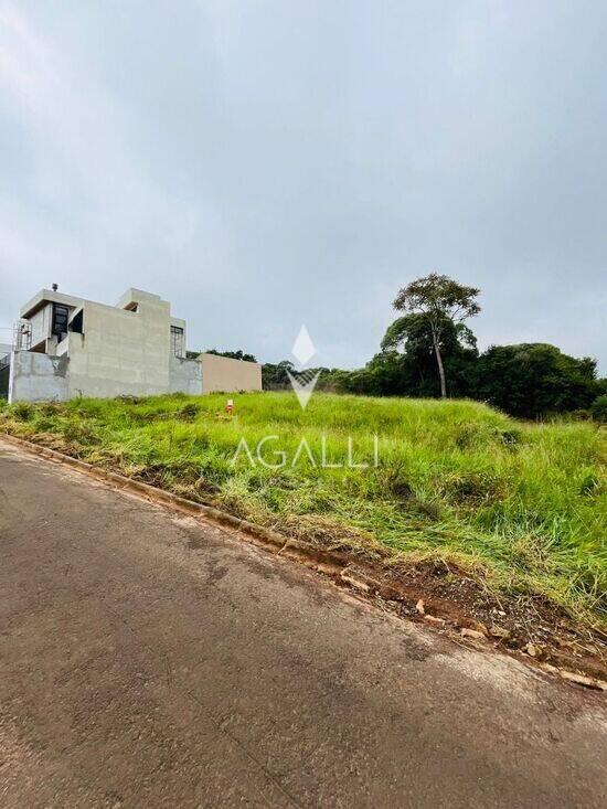 Estrela - Ponta Grossa - PR, Ponta Grossa - PR