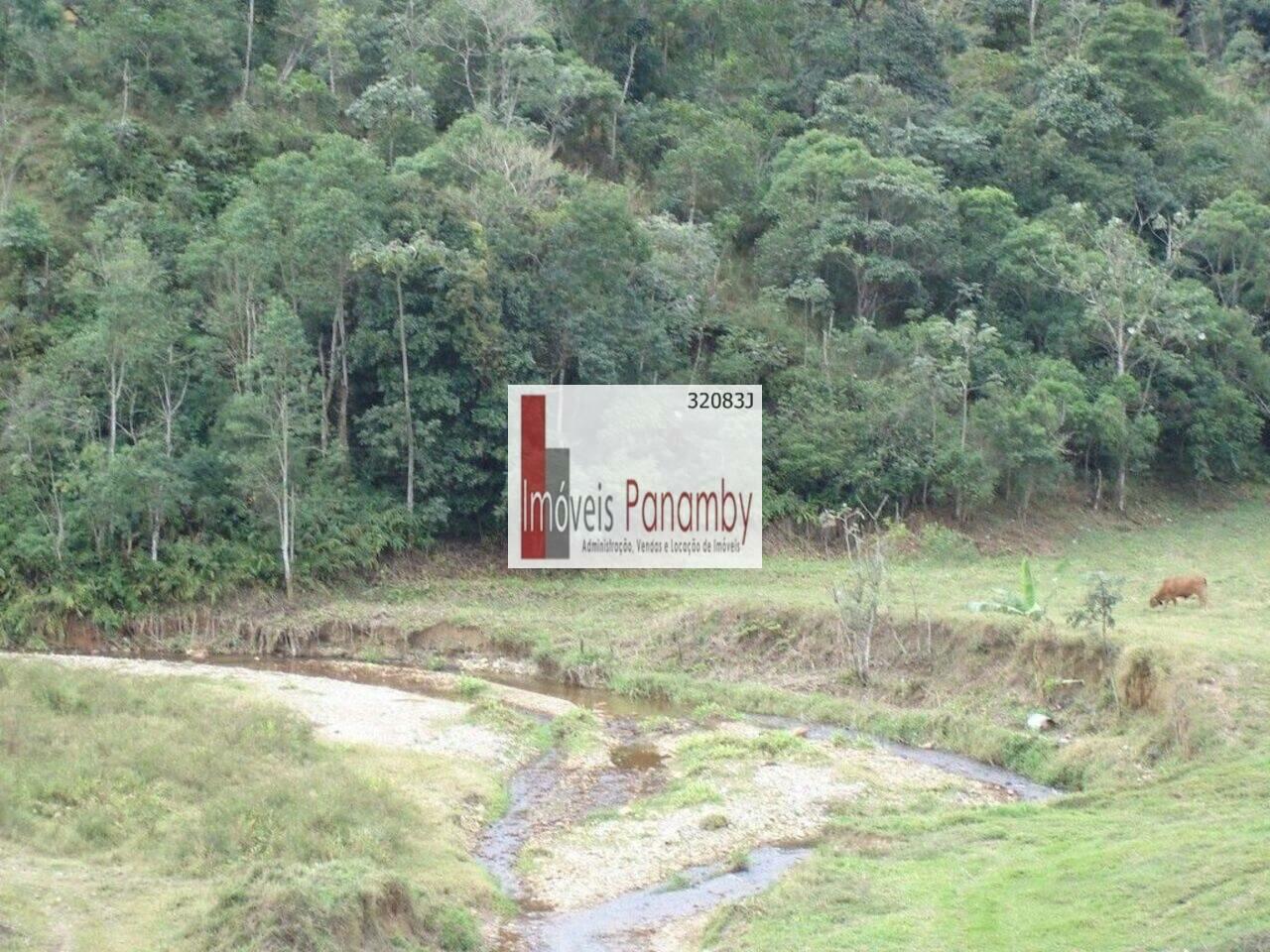 Fazenda Piquete, Piquete - SP