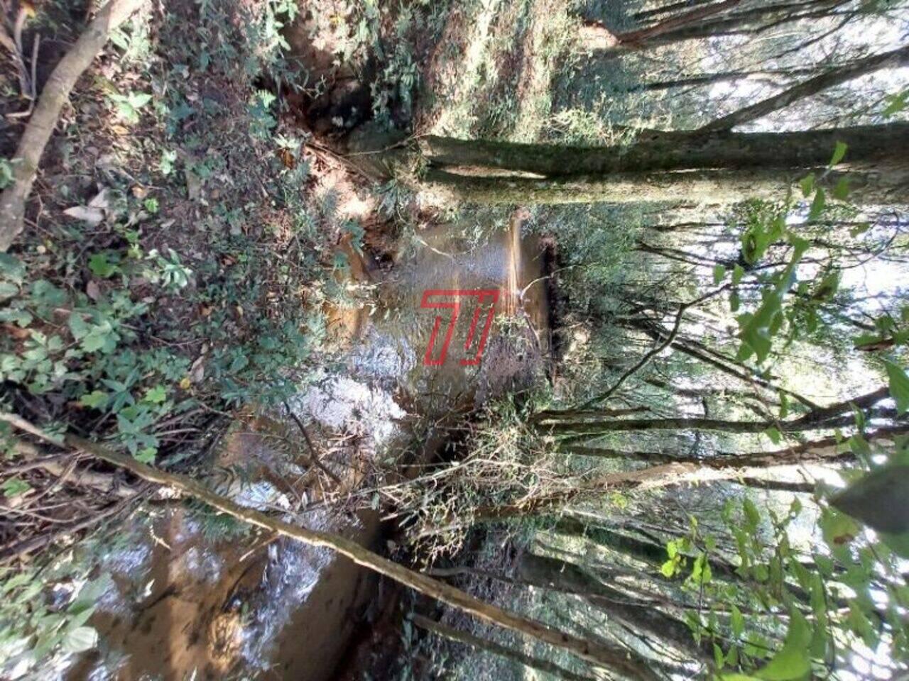 Chácara Zona Rural, Balsa Nova - PR