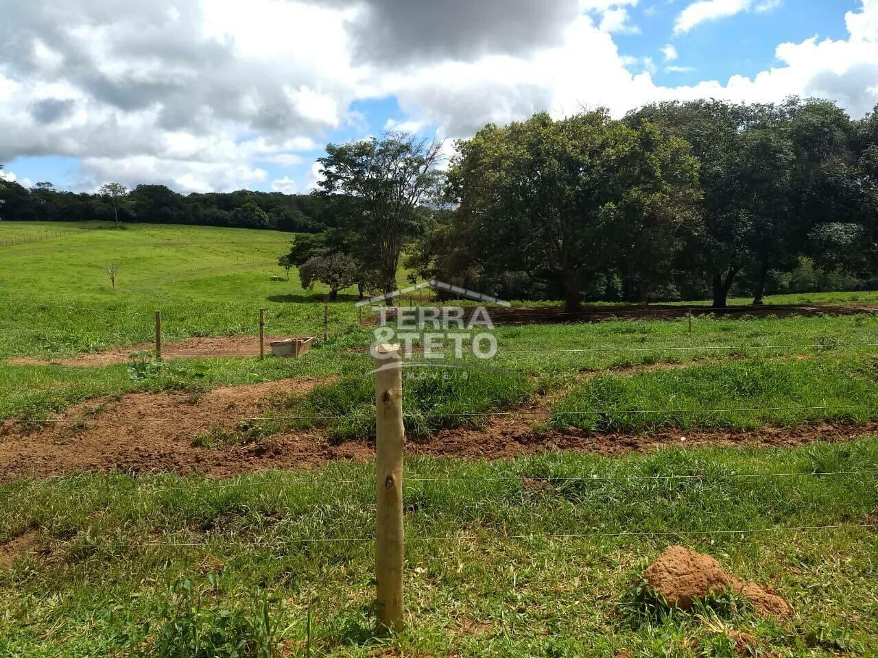 Fazenda Área Rural de Patos de Minas, Patos de Minas - MG