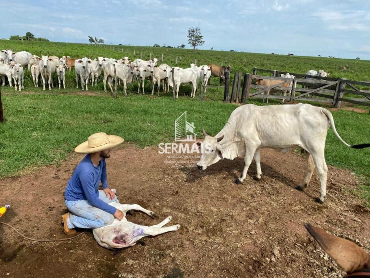 Fazenda Zona Rural, Alto Alegre dos Parecis - RO