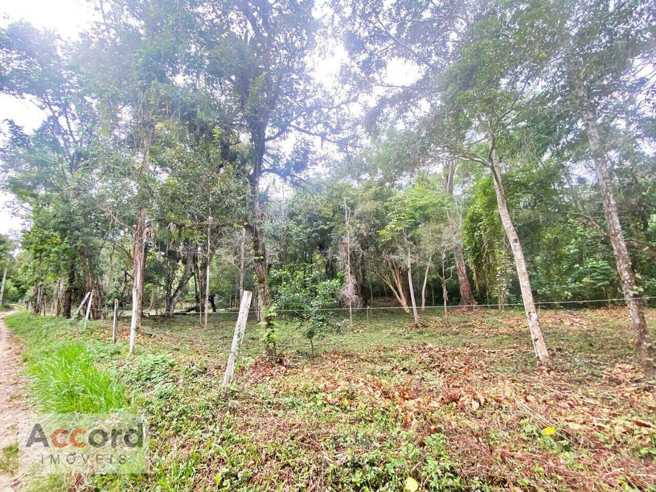 Área Cerro Azul, Cerro Azul - PR