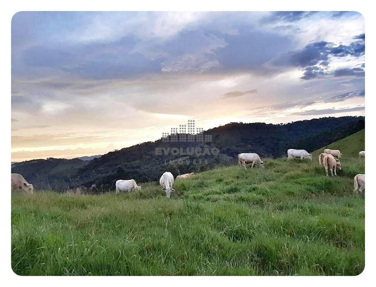 Sítio Águas Mornas, Águas Mornas - SC