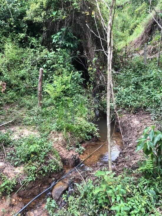 Zona Rural - Delfim Moreira - MG, Delfim Moreira - MG