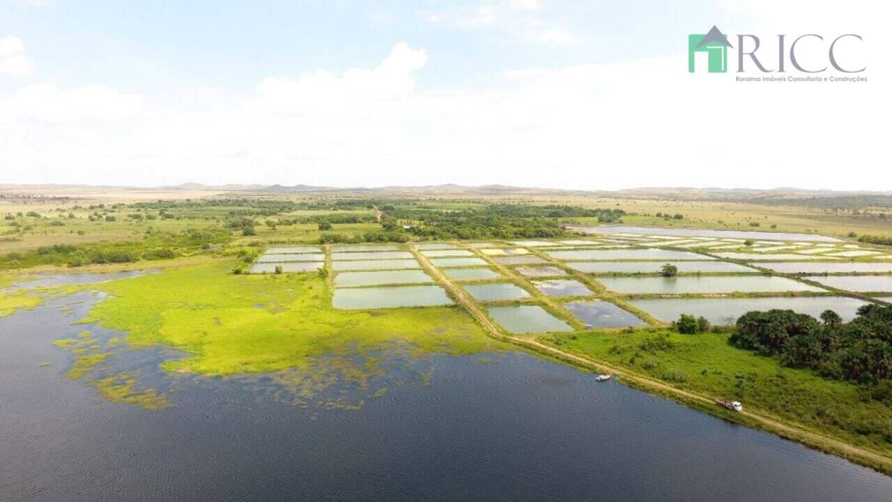 Fazenda Gleba Tacutu, Boa Vista - RR