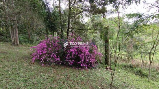 Vila Conceição - Campo Largo - PR, Campo Largo - PR