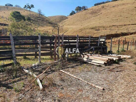 Fazenda Bairro São Pedro, Espírito Santo do Dourado - MG