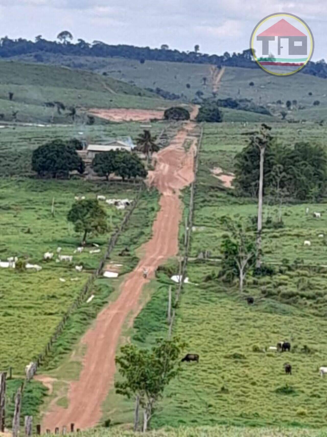 Fazenda Zona Rural, Itupiranga - PA