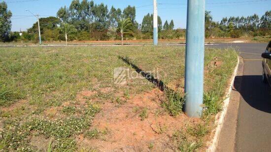 Residencial Paulino Davanzzo III - Uchoa - SP, Uchoa - SP