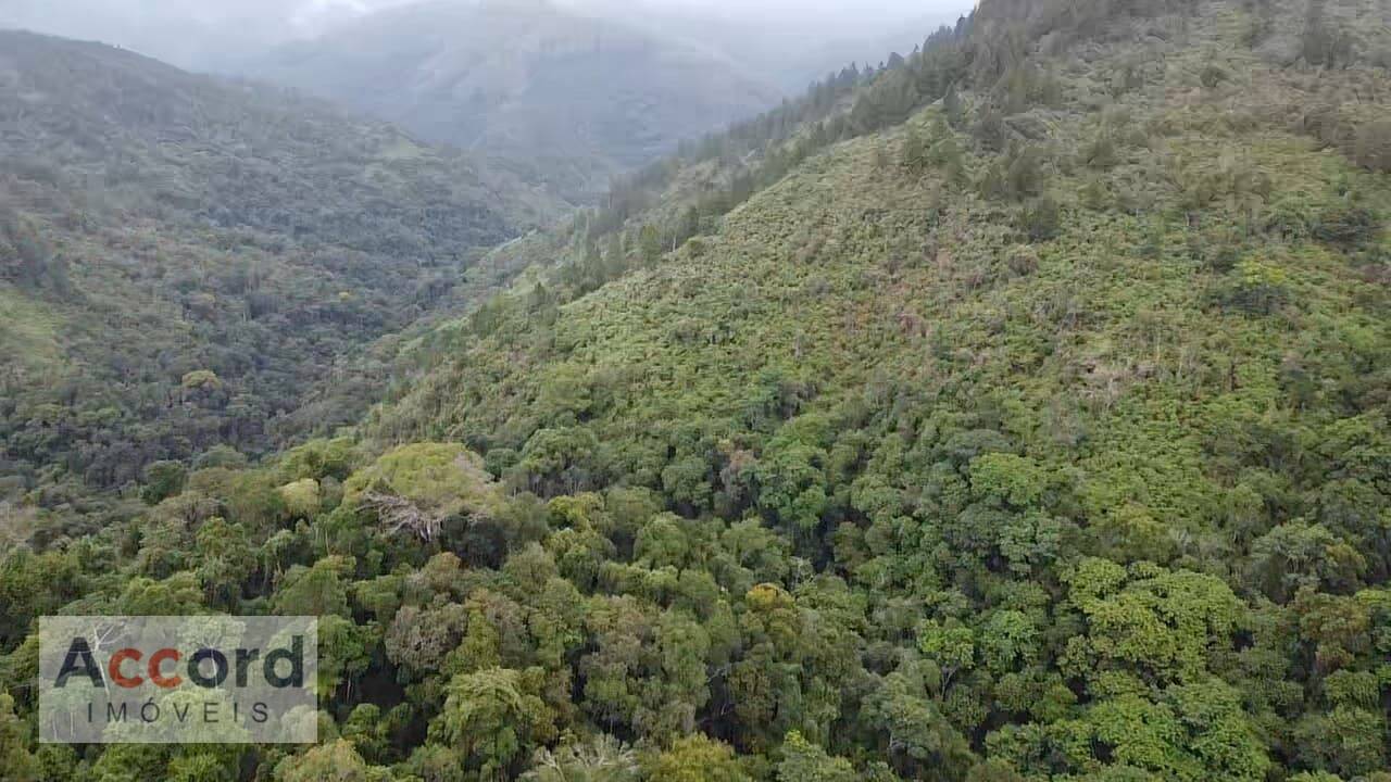 Sítio Caçadorzinho, Adrianópolis - PR