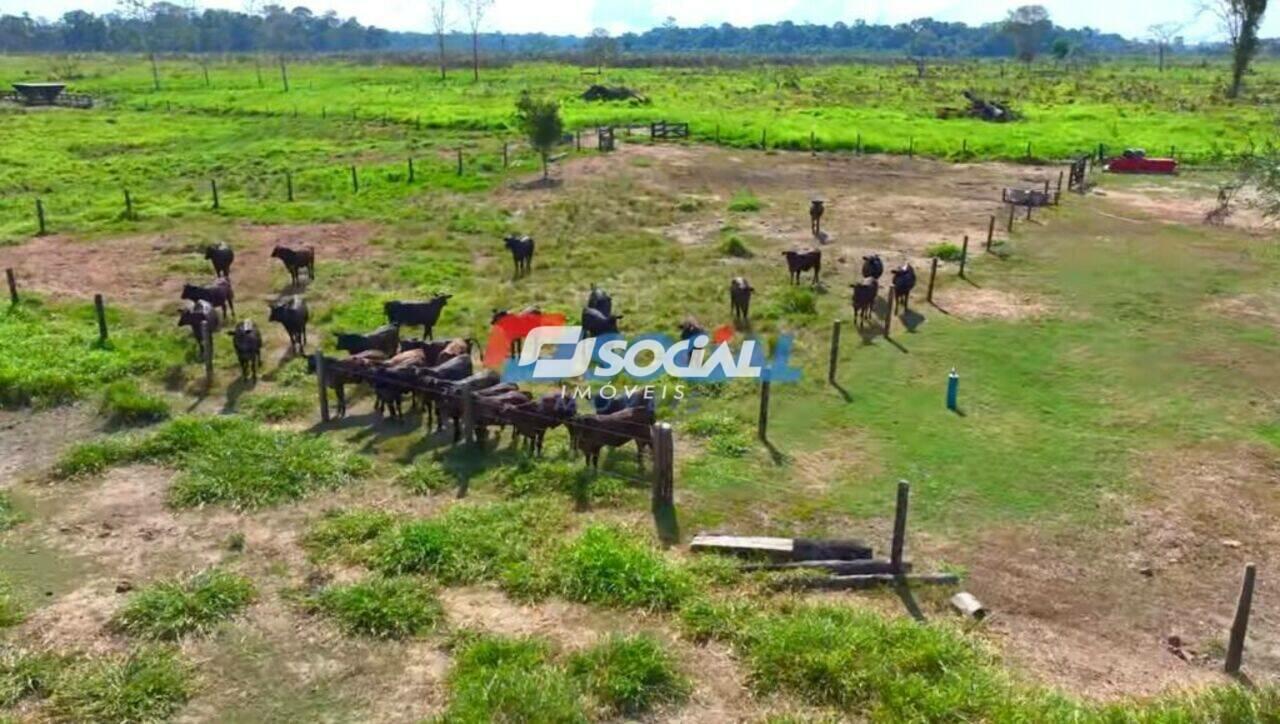 Fazenda Área Rural de Candeias do Jamari, Candeias do Jamari - RO