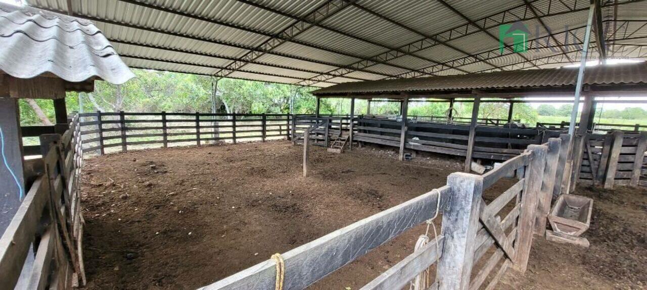 Fazenda Gleba Tacutu, Boa Vista - RR