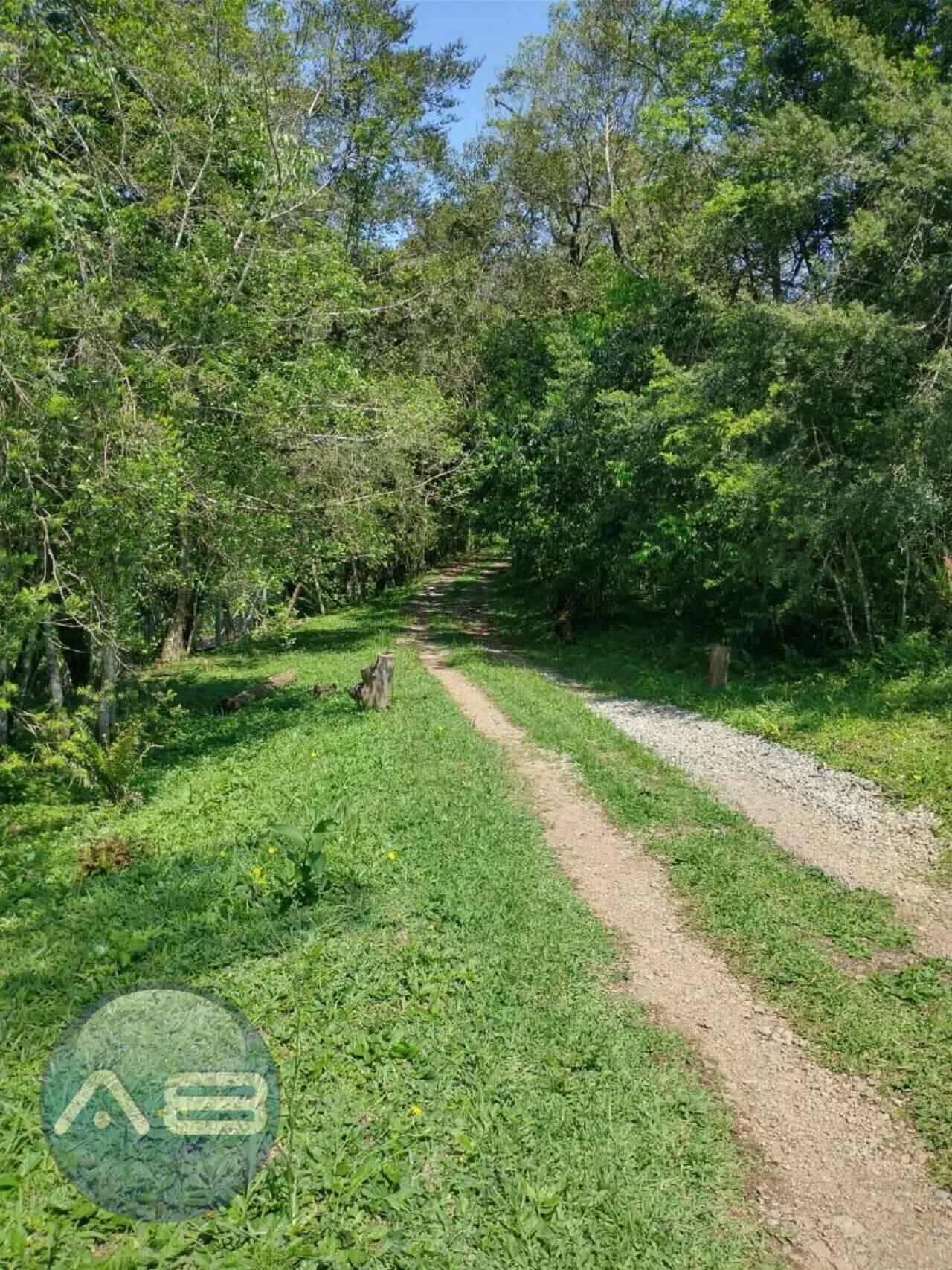 Terreno Planta Meireles, Piraquara - PR