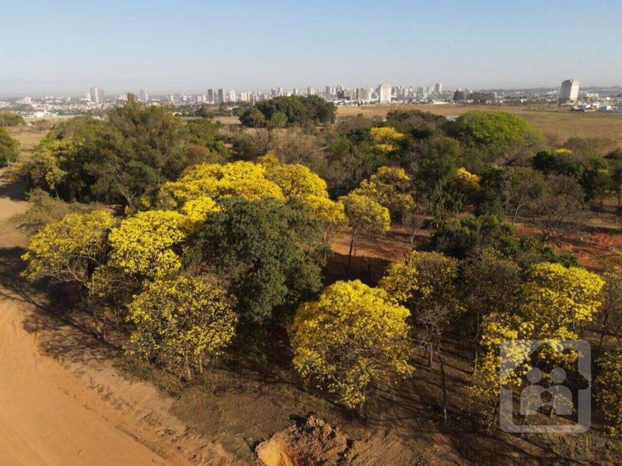 Terreno Condomínio Quinta do Ipê, Araçatuba - SP