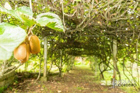 Jardim Boa Vista - Campo Largo - PR, Campo Largo - PR