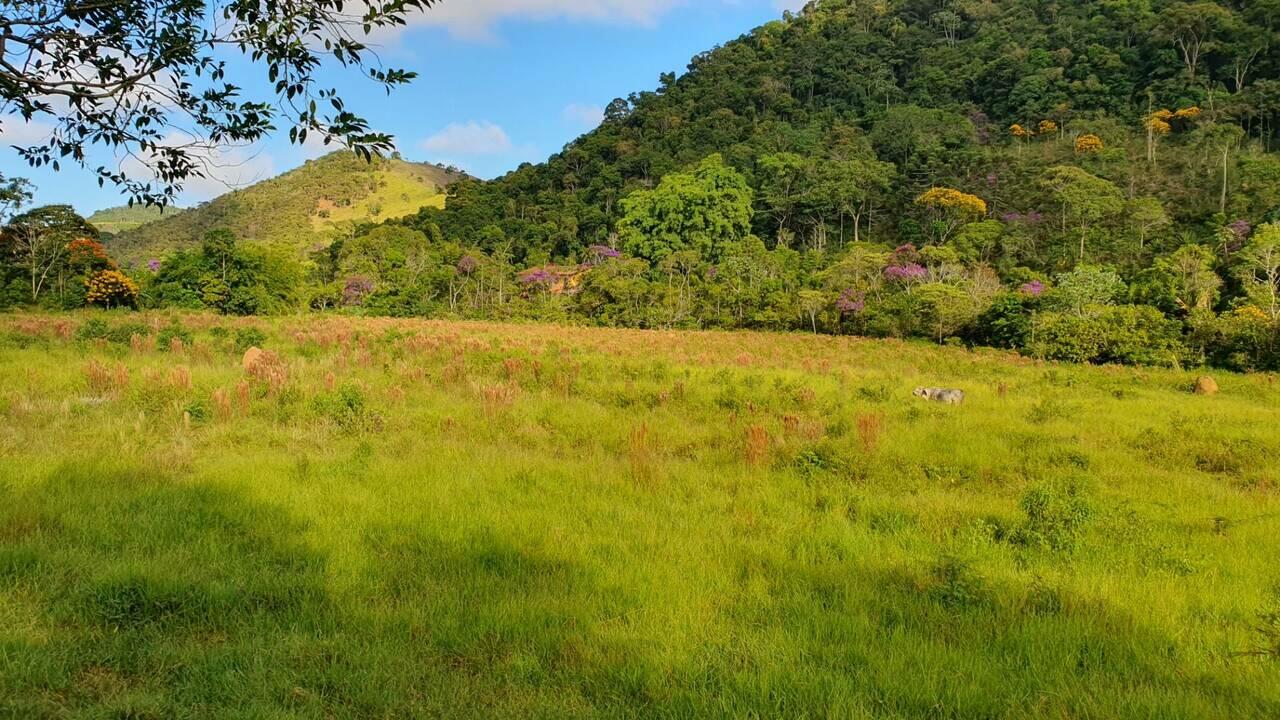 Terreno São Pedro, Juiz de Fora - MG