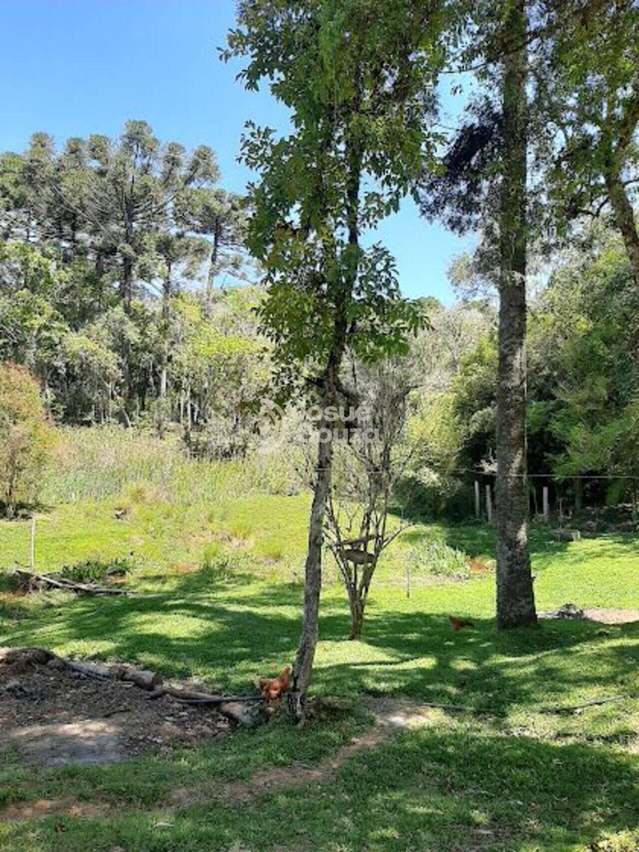 Chácara Bateias, Campo Largo - PR