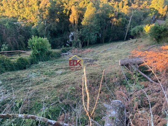 Alto Do Capivari - Campos do Jordão - SP, Campos do Jordão - SP