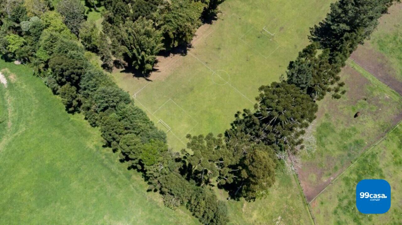 Haras Colônia Murici, São José dos Pinhais - PR